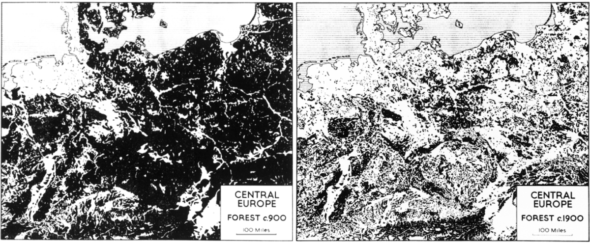 masa forestal en europa central del año 900 vs 1900