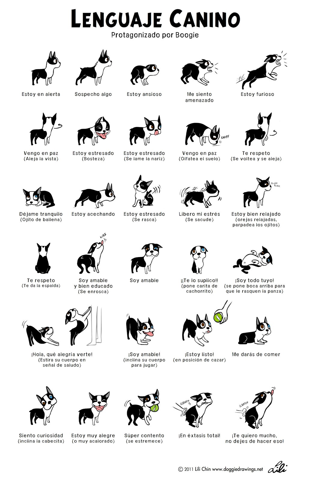 lenguaje canino