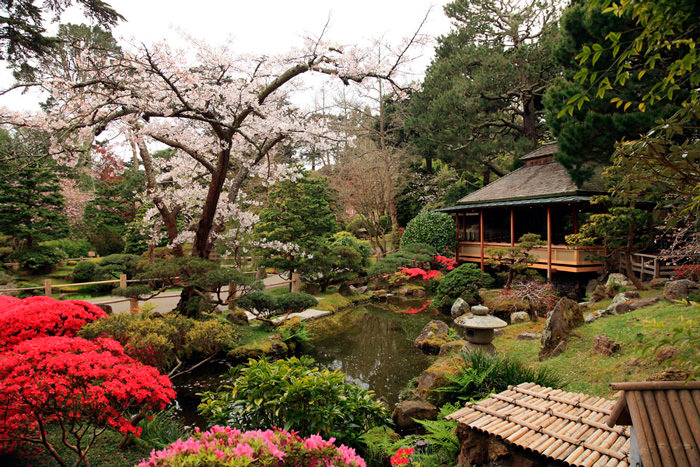 Los 8 pasos que necesitas conocer para crear un jardín zen en casa