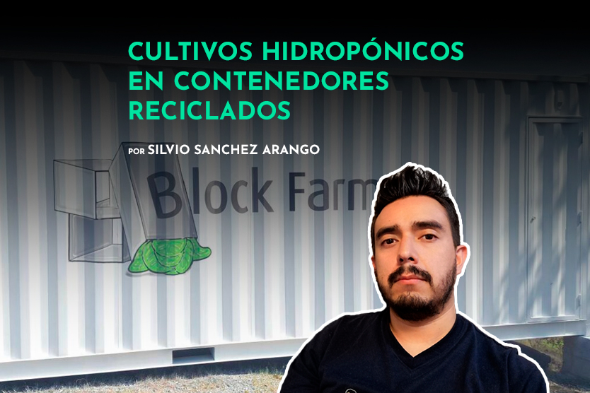 cultivos-hidroponicos-en-contenedores-reciclados