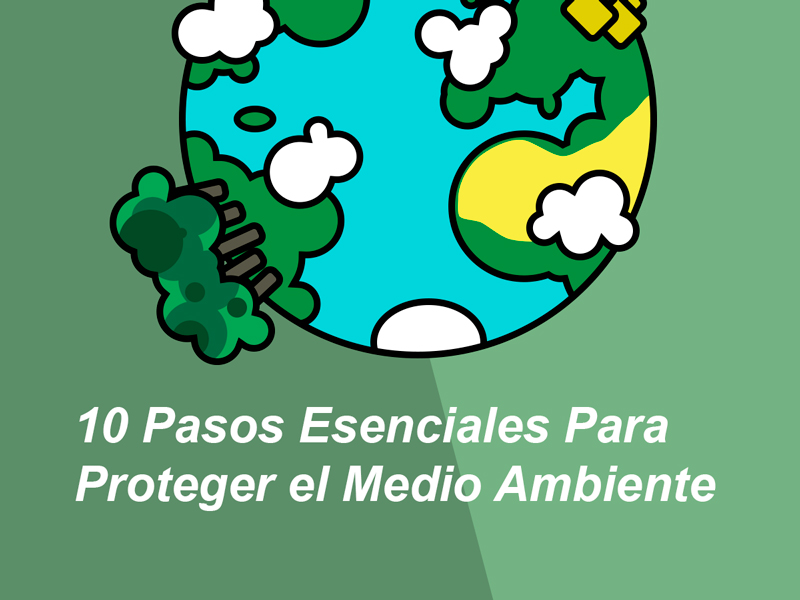 Ministerio Larry Belmont Comportamiento Cómo proteger y cuidar el medio ambiente: 10 pasos esenciales