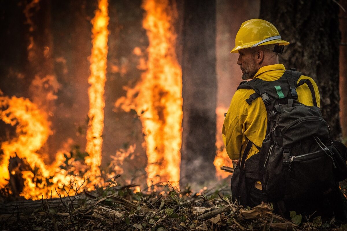 incendio forestal y bombero