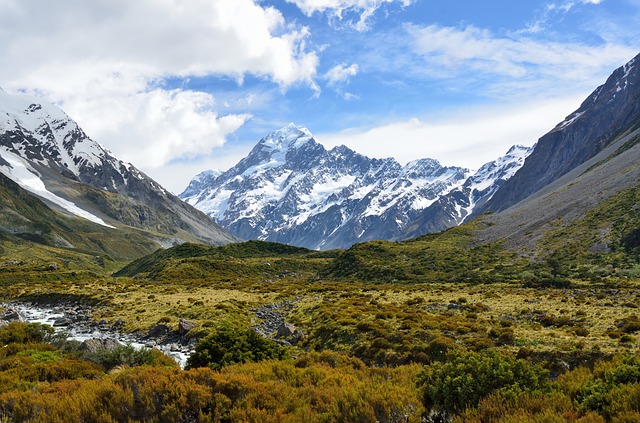 ¿Qué es la tundra y por qué es fundamental protegerla?