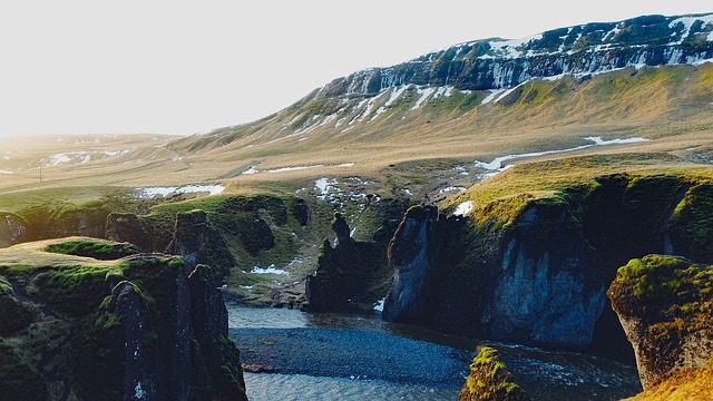 tundra-artica