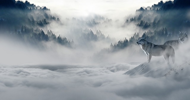 lobo-y-nieve