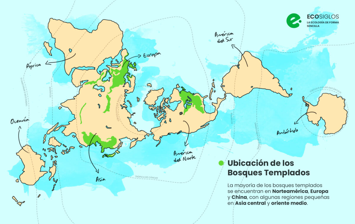 mapa con la ubicacion de los bosques templados en el mundo
