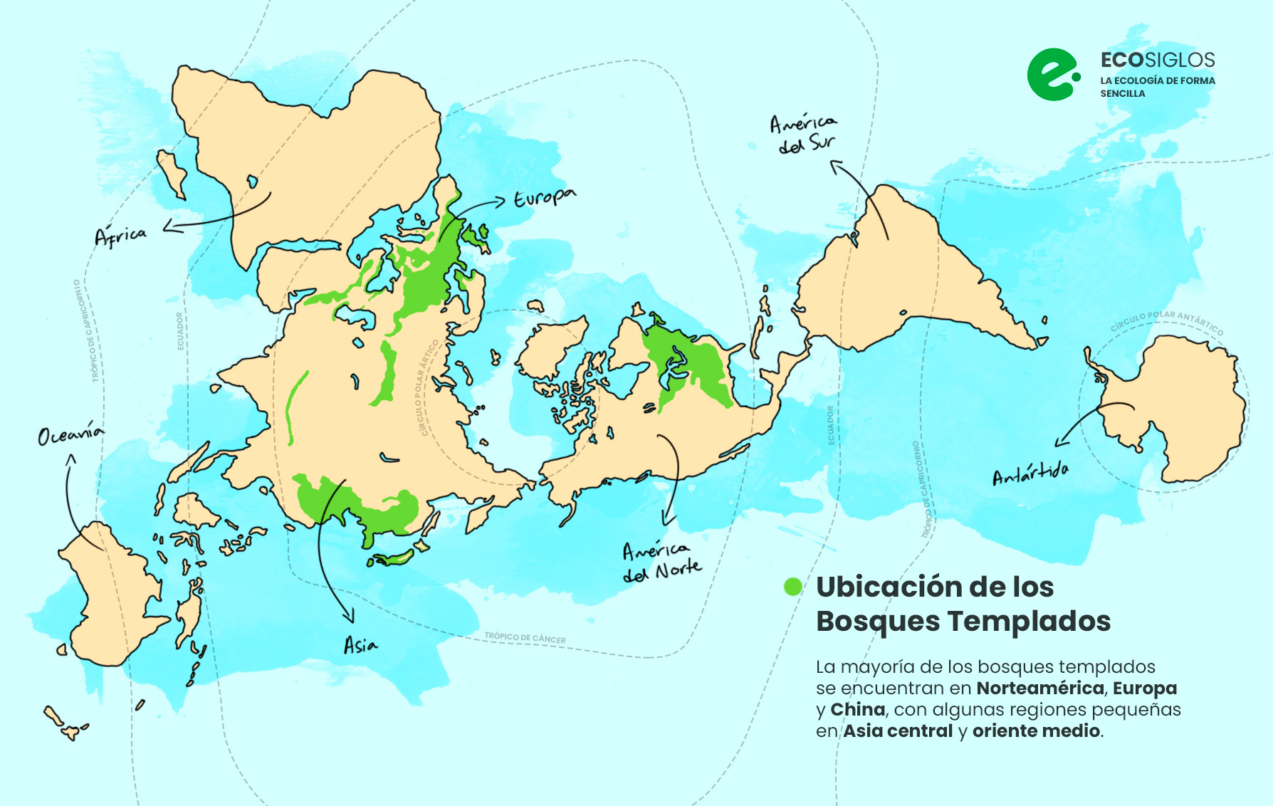 Bosque Templado Qué Es Características Clima Ejemplos Flora Fauna