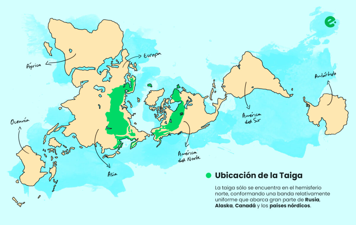 mapa con la ubicacion de la taiga en el mundo