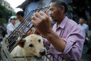 hombre en china enjaulando un perro