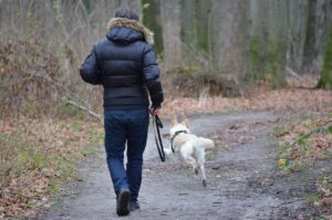 hombre caminando con su perro en el bosque
