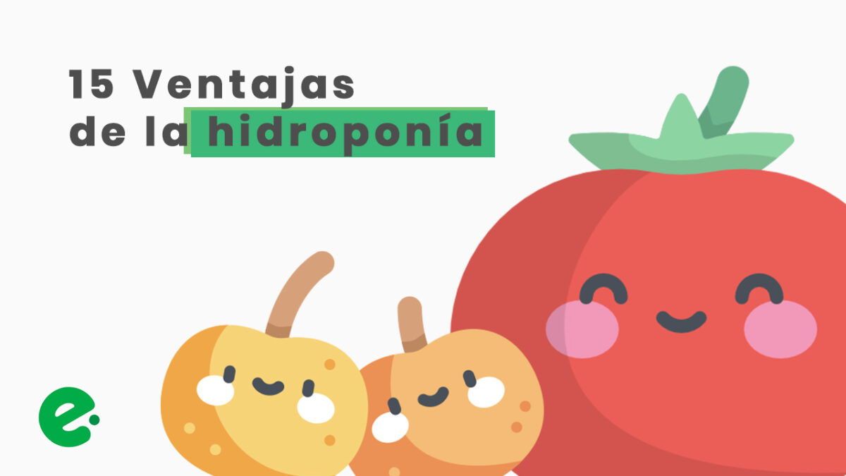 ventajas de la hidroponia