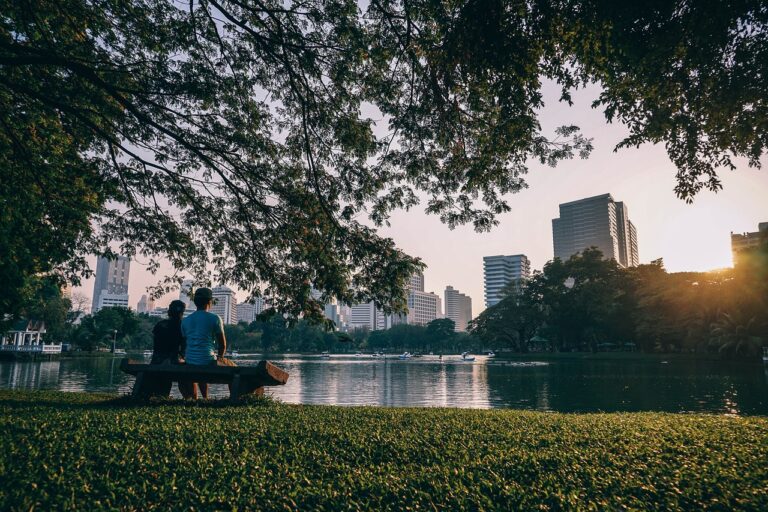 pareja sentada en un parque en la ciudad con arboles y un lago