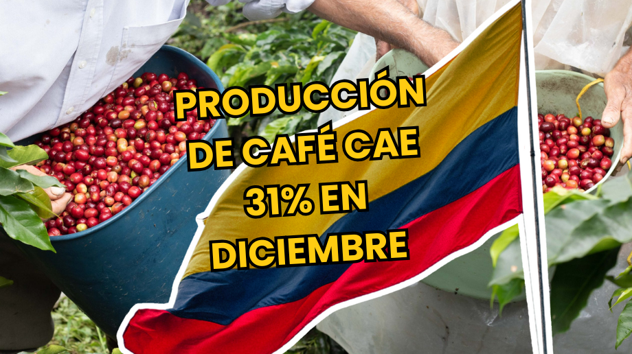 produccion-cafe-cae