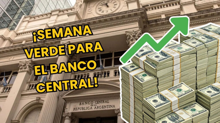 reservas banco central argentina crecen